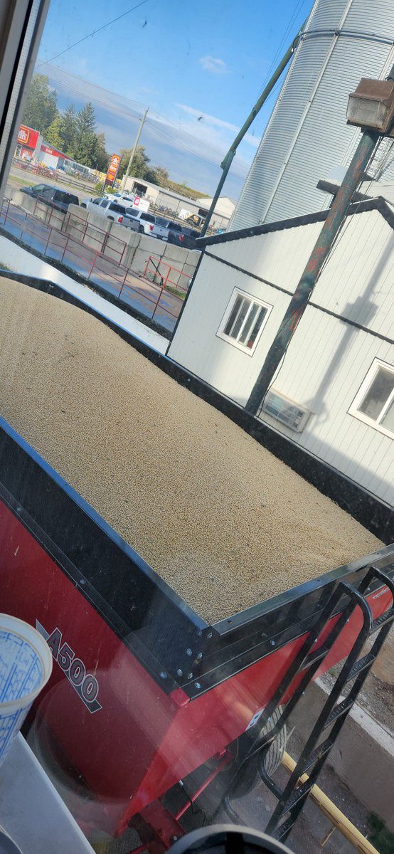 First load of beans has arrived in Ayr!