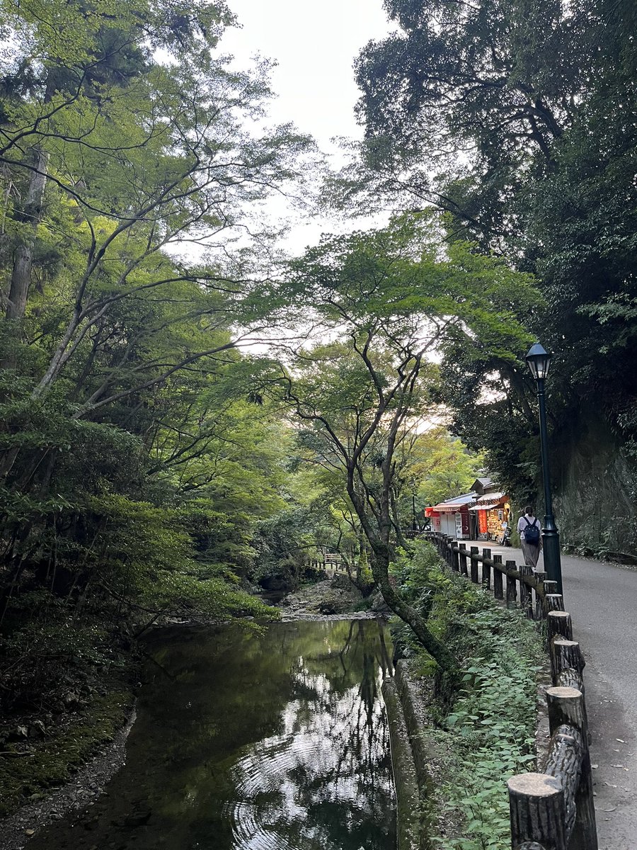 u0330m's tweet photo. 🌿🌍 https://t.co/CVTgyAoCQc