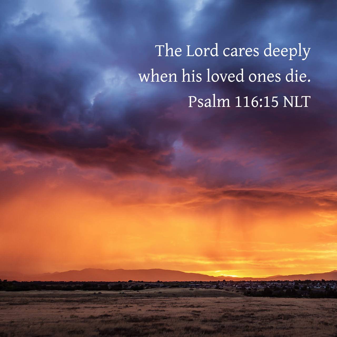 Gordon D. West on X: "Psalms 116:15 NLT [15] The Lord cares deeply when his  loved ones die. https://t.co/mflVzwLMeb https://t.co/EfSog7zoJ4" / X
