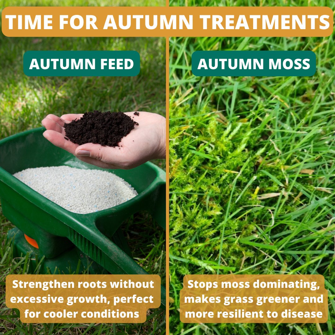 This month, as we begin to finish our #renovation season, we will be busy applying our customer's autumn treatments to strengthen roots and treat moss to help maintain a healthy grass this season. 📷
Get a quote - lawn-tech.co.uk/get-a-quote/ 

#autumnlawncare #lawncare #uklawncare