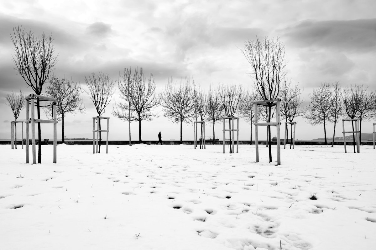 Celil_Bezeng's tweet photo. 🔲 COLLECTED🔲
My friend, whose Street Photography 📷 and innovative work I follow with pleasure @h_biyiklioglu
Congrats thank you🙏🏻
#3KTezos https://t.co/7ky891ApnL