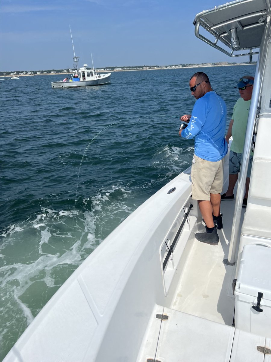 VineyardWindUS's tweet photo. In coordination with @ASGAssociation and @NEAQ, our team assisted with the acoustic tagging of Albies. We tagged 11 Albies for the first trip of the season! π #AcousticMonitoring #HighlyMigratoryFishSpecies #TheAlbieProject https://t.co/ERUdRZMOdK