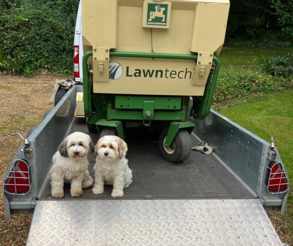 Our trusty lawn care team is 'pawsitively' top-notch! 🐕
#throwbackthursday to these happy pups who wanted to give our technician, Jon, a helping hand 

#lawncare #lawncareexperts #furryfriends #lawncareuk #dogfriendly #lawncarelife