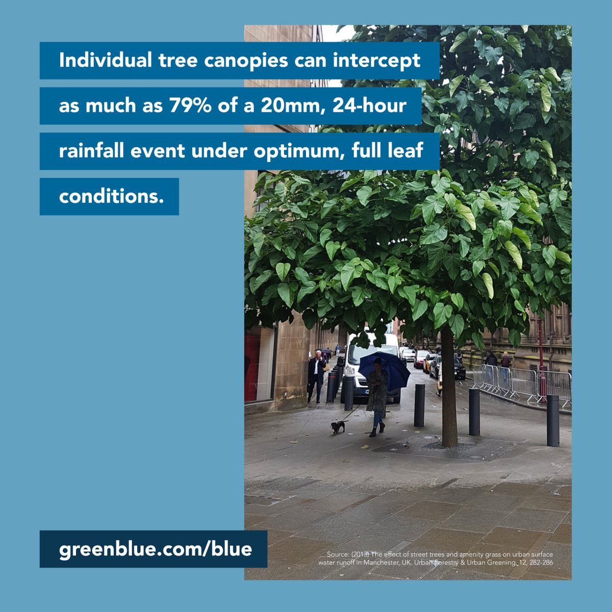 GreenBlueUrban's tweet image. Trees can intercept up to 79% of a 20mm, 24-hour rainfall event, under optimal full leaf conditions. This interception can only be achieved by canopy-volume trees with access to quality-uncompacted soil th... #urbantreeplanting bit.ly/46s85Ds

#SuDS #StormwaterManagement