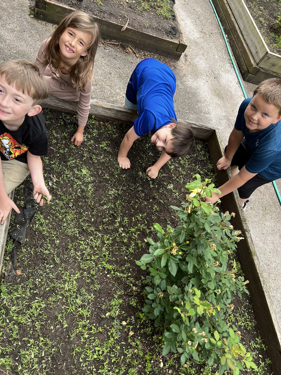 Rockwell Elem NC tweet media