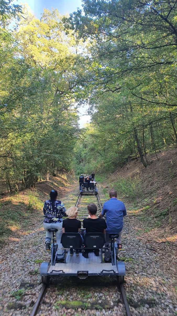 Out of Office. 🏢 jährlicher Betriebsausflug: einige Mitarbeiter:innen haben heute ihren Bürostuhl gegen eine Draisine getauscht. #outofoffice #patentamtAT #natur