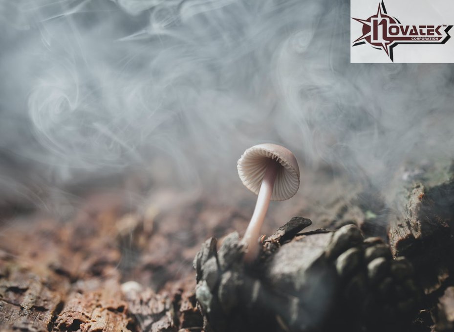 NovatekCo's tweet image. Smoke &amp;amp; contaminants in our air harm animals, the environment, and our pets. Novair Air Scrubbers make it safe for everyone to take a breath NovaTekCo.com

#USA #Industrial #Equipment #Manufacturing #adp2023 #RENJUNatWMA2023 #FlyEaglesFly #tuesdayvibe #WWERaw #Ducky #US