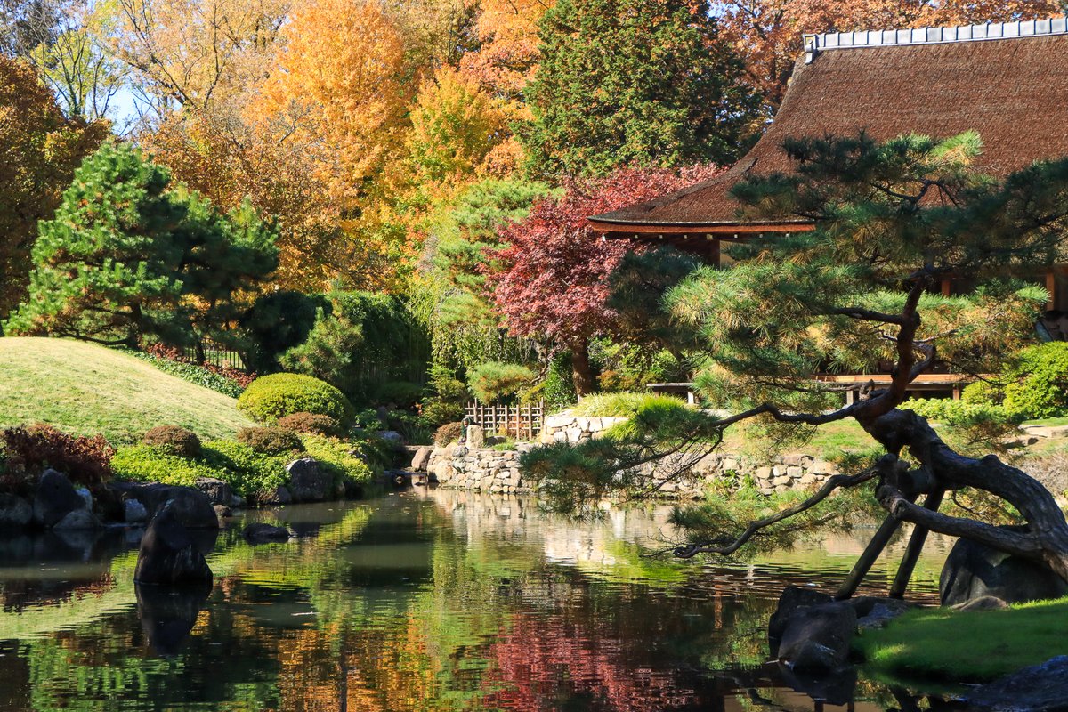 Shofuso Japanese Cultural Center tweet media