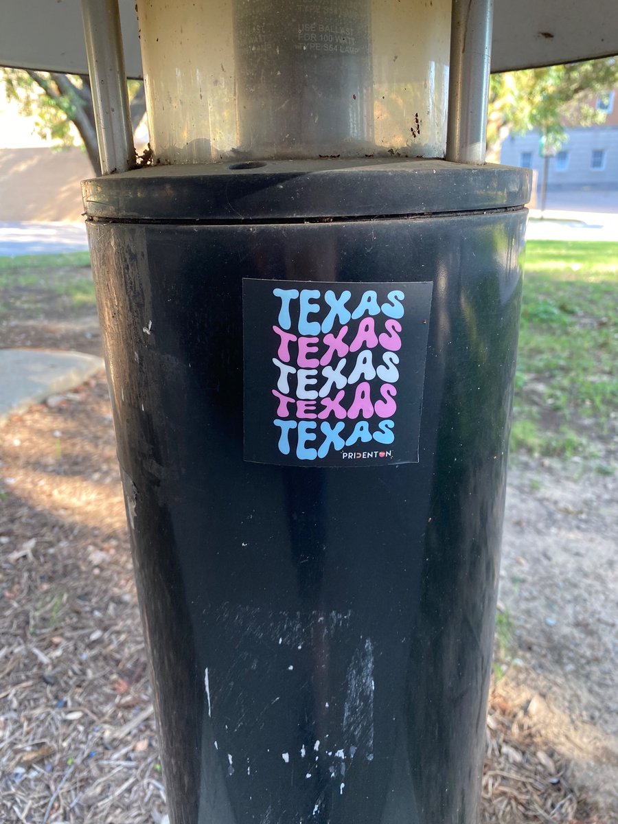 TransPrideUNT's tweet photo. https://t.co/BTWi5pLPAq