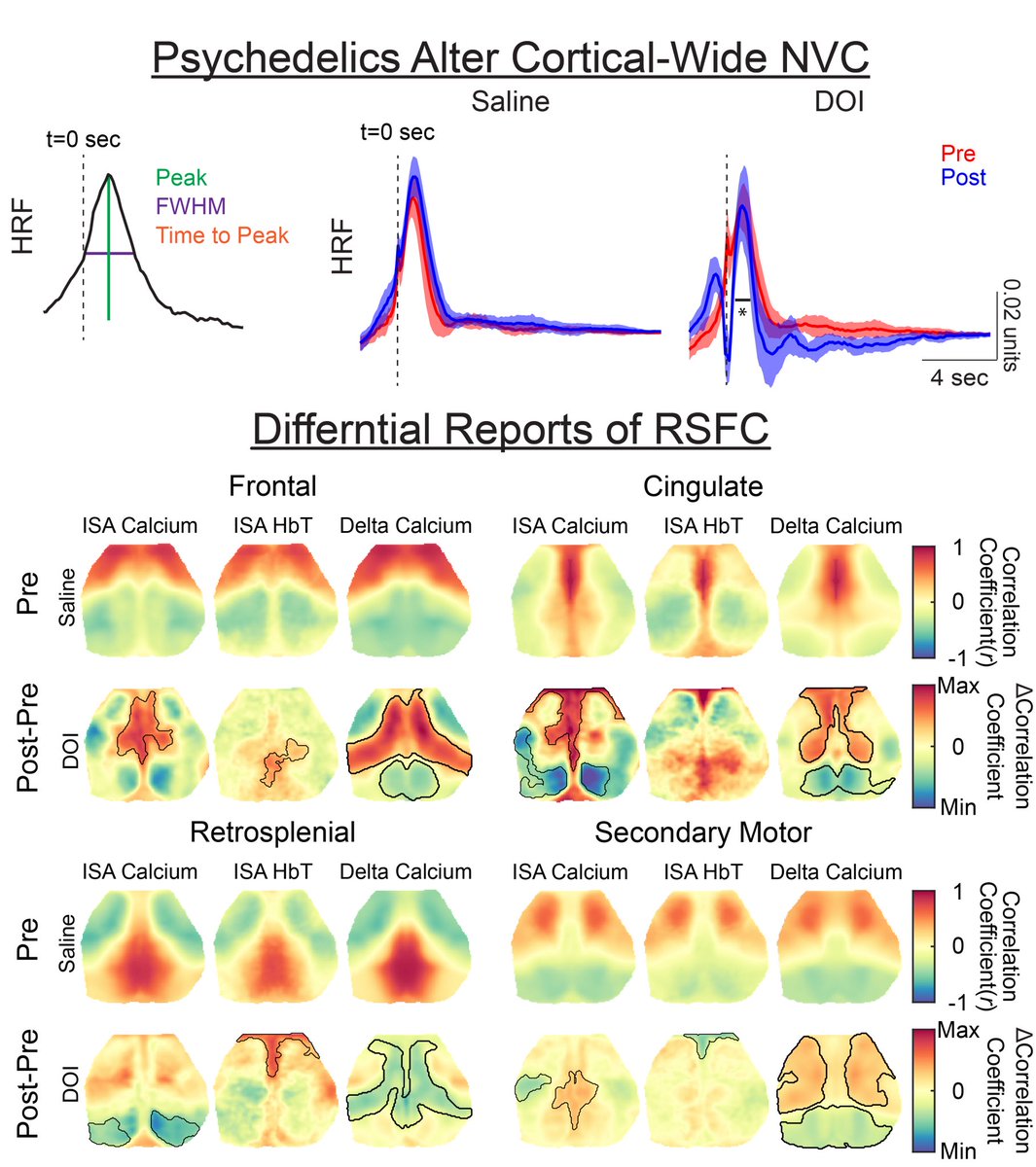 We found that the psychedelic, DOI, markedly altered neurovacular coupling in a regionally specific manner. This effect has grand implications for fMRI, for instance, neuronal vs hemodynamic measures of resting state function connectivity massively differed.