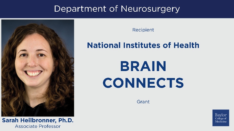 NEWS: #BCMNeurosurgery associate professor Dr. Sarah Heilbronner brings prestigious @NIH BRAIN CONNECTS grant to @bcmhouston → tinyurl.com/hmw4svsn 🧠

#BRAINInitiative | #studyBRAIN