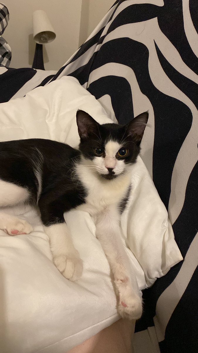 هيلة الروقي (قلب الرحمة) tweet media