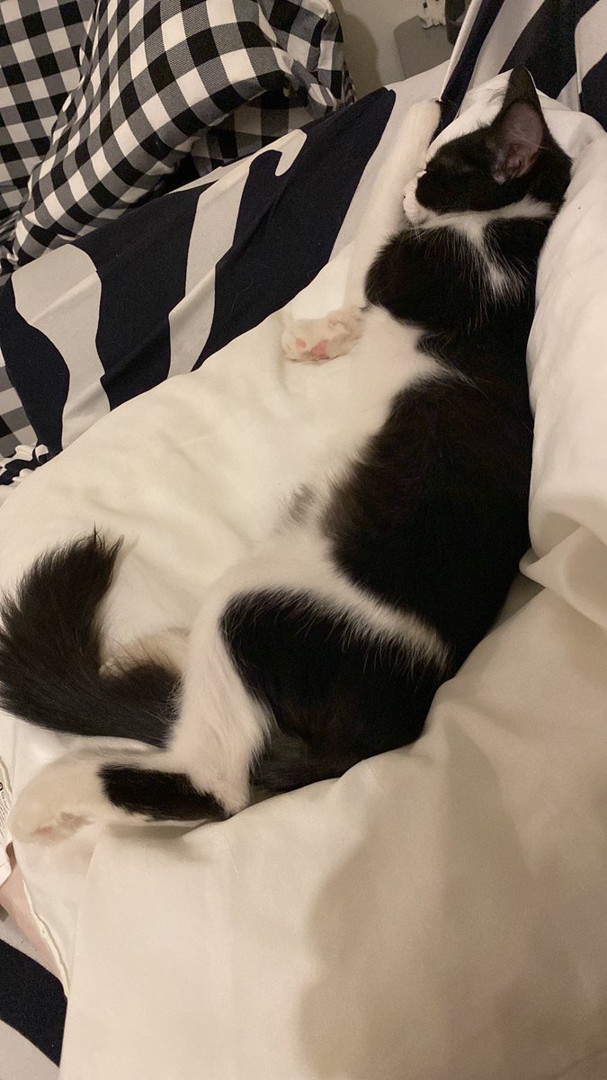 #ماس ام القد المياس 😍😂