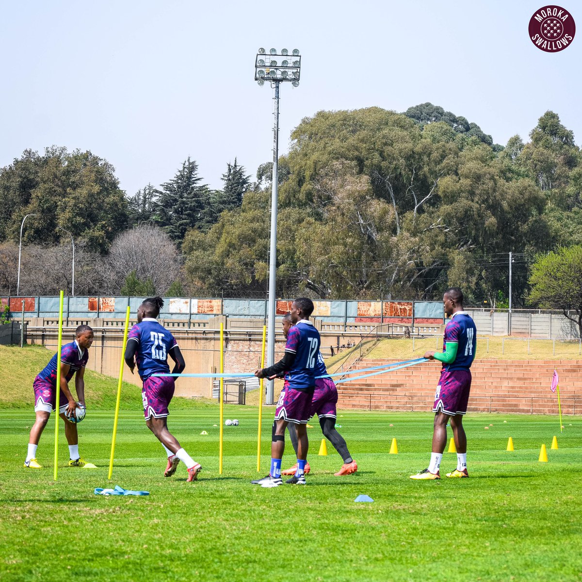 #MorokaSwallows