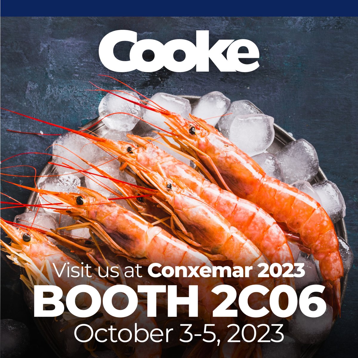 Exciting News! Conxemar 2023 is just around the corner, and we're thrilled to announce that we'll be there too! Join us at Booth 2C06 from October 3rd to 5th, 2023, in the beautiful city of Vigo, Spain. 🗓️

#Conxemar2023 #SeafoodExpo #VigoSpain #InnovationInSeafood