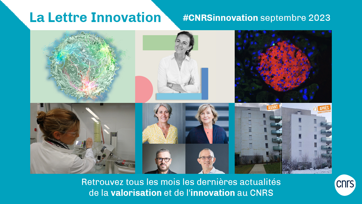 #CNRSinnovation 💡 La nouvelle lettre innovation du CNRS est sortie ! Laboratoires communs, start-up, brevets, événements... Retrouvez tous les mois les dernières actualités de la #valorisation et de l'#innovation au <a href="/CNRS/">CNRS 🌍</a>.

➡️ cnrs.fr/fr/la-lettre-i…
