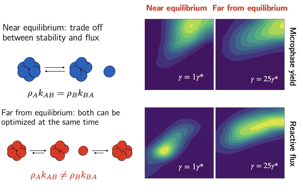 Inspired to see Avishek's <a href="/pleplostelous/">Avishek Das</a> latest out in <a href="/PNASNews/">PNASNews</a> today, in which he describes how to design functional materials that operate far from equilibrium- leveraging broken detailed balance to bypass eq. constraints <a href="/UCB_Chemistry/">College of Chemistry</a> <a href="/KavliENSI/">Kavli Energy NanoScience Institute (ENSI)</a>  pnas.org/doi/10.1073/pn…