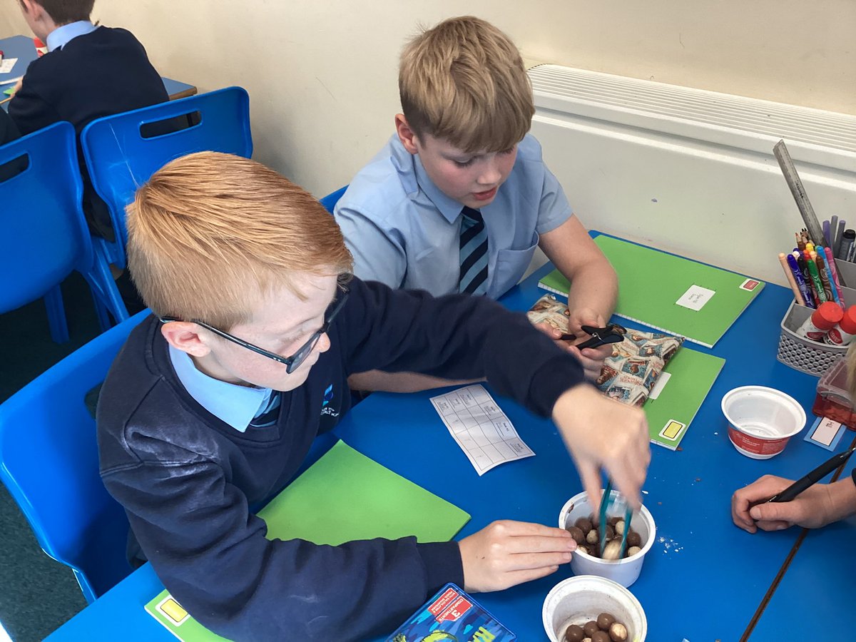 holystoneschool's tweet photo. Year 6 had great fun investigating the variation in the beaks of finches in Science! #evolutionandinheritance #finches #science https://t.co/fgTPINt83O