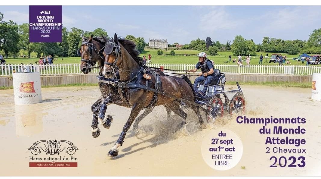 We have arrived at our 3rd FEI Driving World Championships this year at Haras du Pin for the World Pairs Championships. As usual we will photograph every competitor in every phase. Horse Inspection is 08:30 local tomorrow Wednesday.