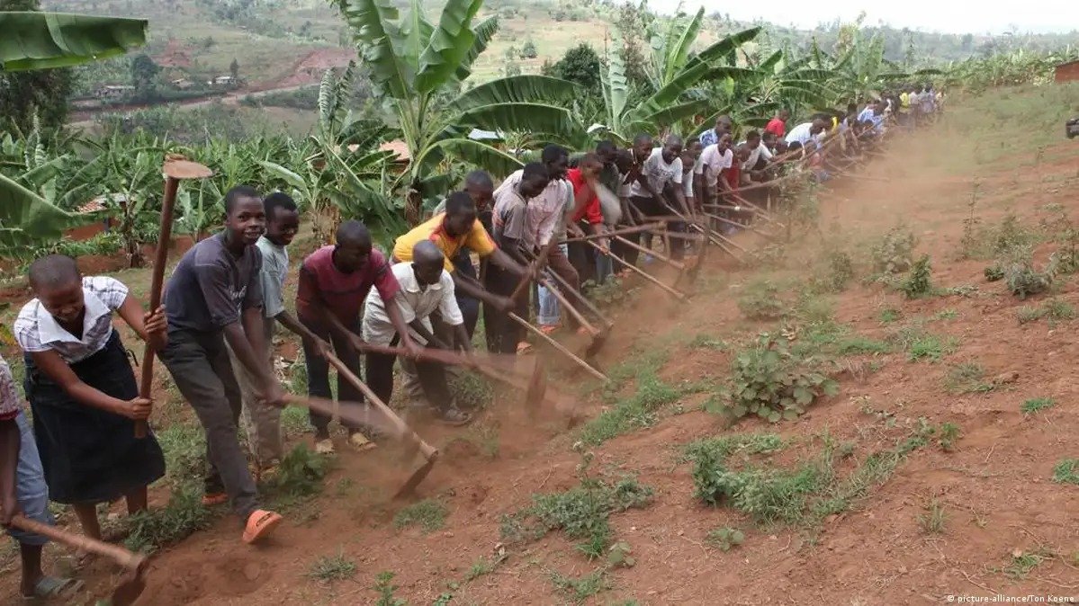 Every time you eat, it's essential to remember that someone played a role in producing the food you're consuming.
#CABICropSprayerApp
#FarmwithOnyango