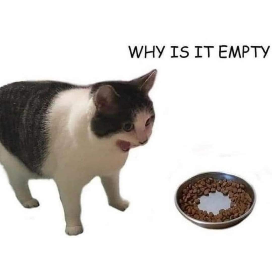 PenguInBr0's tweet photo. @catshouldnt https://t.co/rzTmxXY8AW