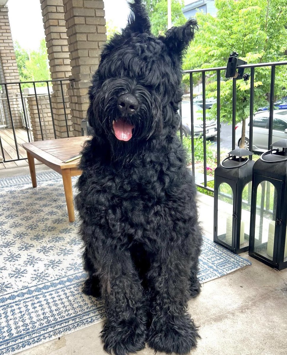 Abby Sev tweet media