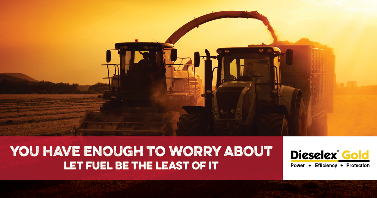 With #DieselexGold you never have to worry about how your fuel will perform. Less stress = more productivity. Contact your local Three Rivers FS Specialist today to find out more!
#Harvest23 #GofurtherGoFS