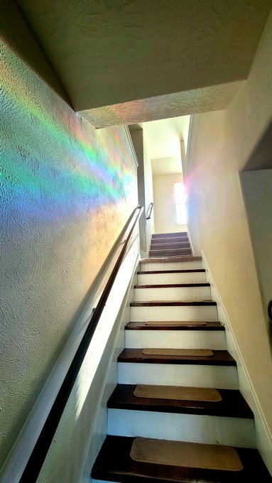 Put rainbow cling film on my upstairs window that gets an hour of super bright morning light. This is<a href="/tag/beryl"class="tags"><span>#beryl</span></a>
