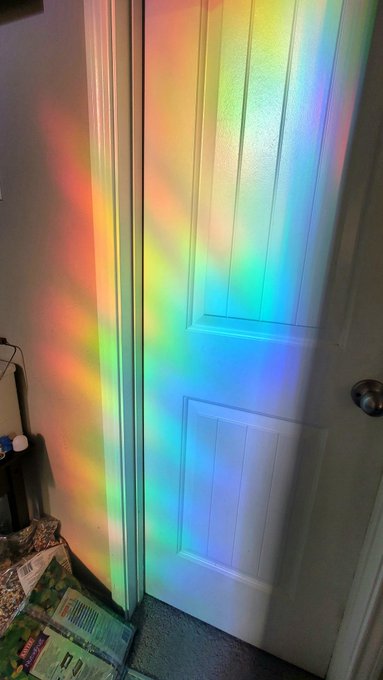 Put rainbow cling film on my upstairs window that gets an hour of super bright morning light. This is<a href="/tag/beryl"class="tags"><span>#beryl</span></a>