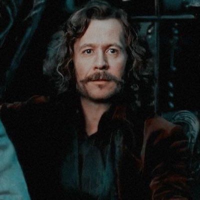 thiegonovais's tweet photo. O ano é 2023 e ainda não superei a morte de Sirius Black. https://t.co/8dT6XaAuza