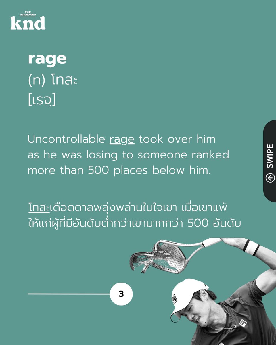 THE STANDARD knd tweet media