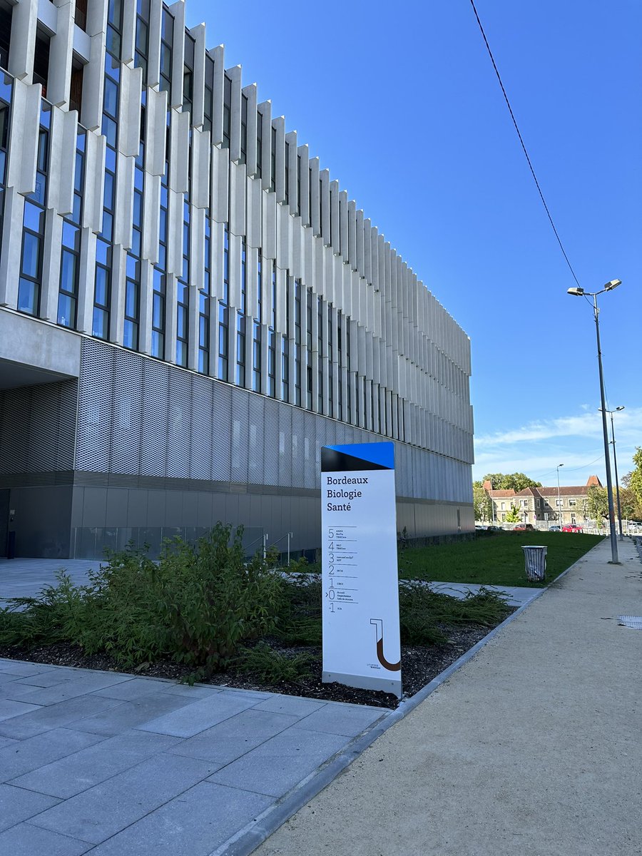 🎓 Excited for my next step during my graduate studies at <a href="/univbordeaux/">Université de Bordeaux</a> 🇫🇷! I’ll be doing a double degree which will be opens new doors in my scientific journey. Big thanks to <a href="/universitelaval/">Université Laval</a> for the scholarship and all support offered to me🔬.