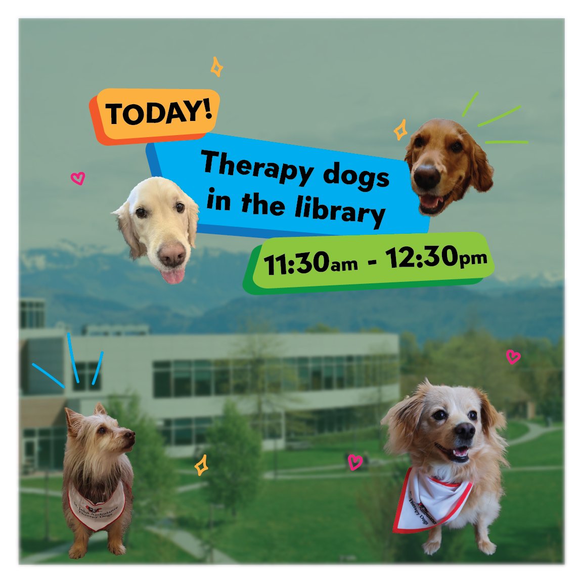 UFVLibrary's tweet photo. It's time to paws for the ๐ถ @SJA_BCYT #TherapyDogs! They will be happy to see you in Abbotsford #UFVLibrary today! Stop by for a visit and a pat, and don't worry they'll be back again next Tuesday, (Oct. 3) for another visit ๐พ https://t.co/uGNGQb86yQ