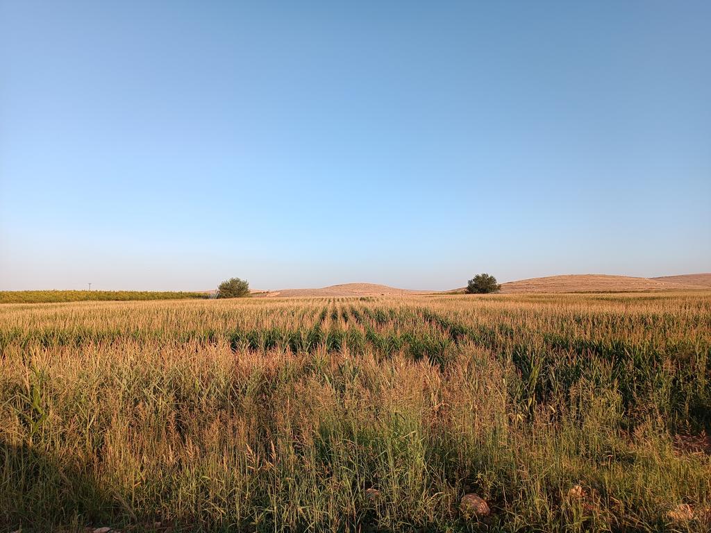 Tüm İslam aleminin Mevlid Kandili mübarek olsun,
bütün insanlığa barış huzur ve mutluluk getirmesini dilerim..

#MevlidKandili