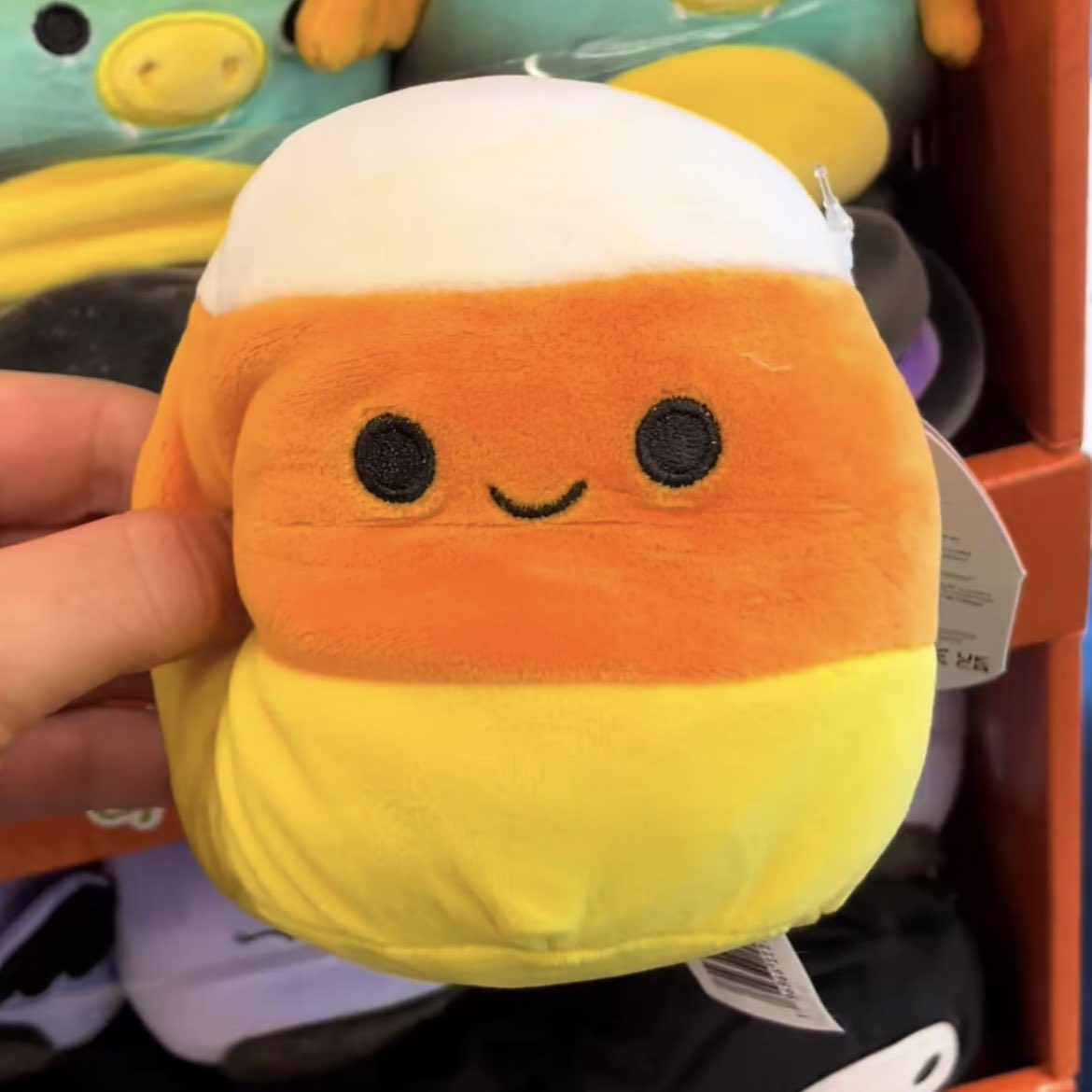599_WrLd's tweet photo. i wanna get these so bad🥹 i’m so obsessed with collecting #squishmallows (not my photos!) https://t.co/2TLLAuF6Pl