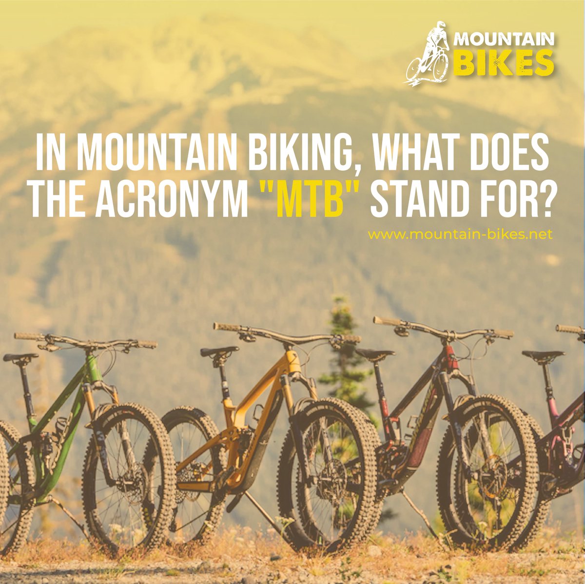 MTB stands for?