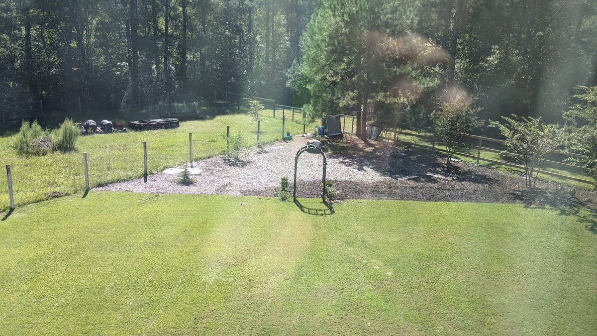 m3malone's tweet photo. @Lowes How do I claim the 12 month guarantee on this mulch?  All of this was bought on April 1, left side spread first weekend in May and right front corners on 1st weekend of August. #sad https://t.co/jdgpFNhoHe