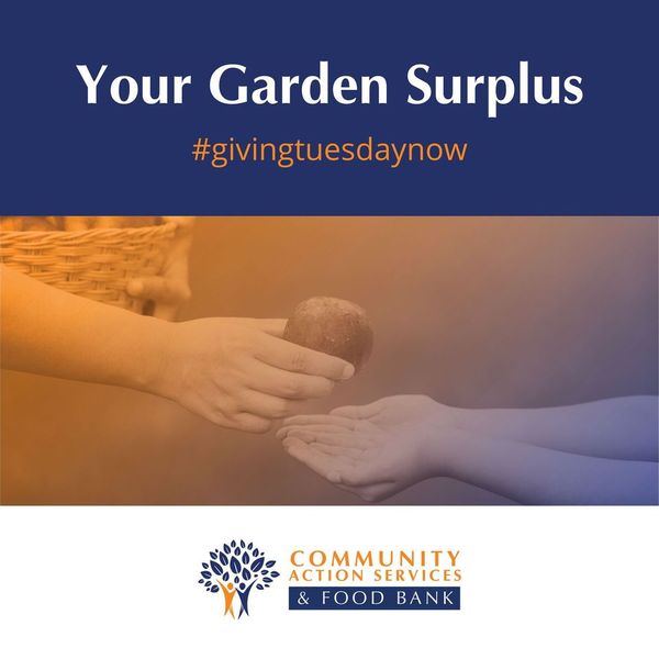 Community Action Services and Food Bank tweet media