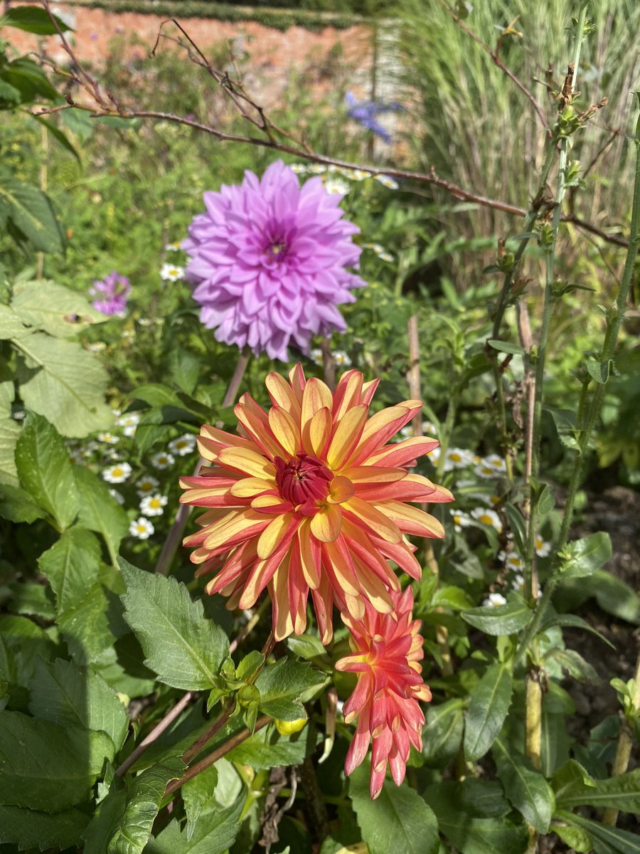 Kelmarsh Hall tweet media