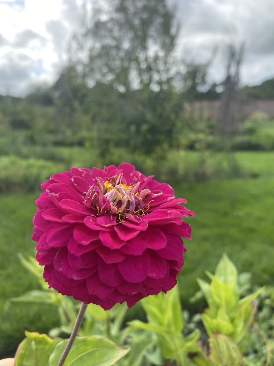 Kelmarsh Hall tweet media