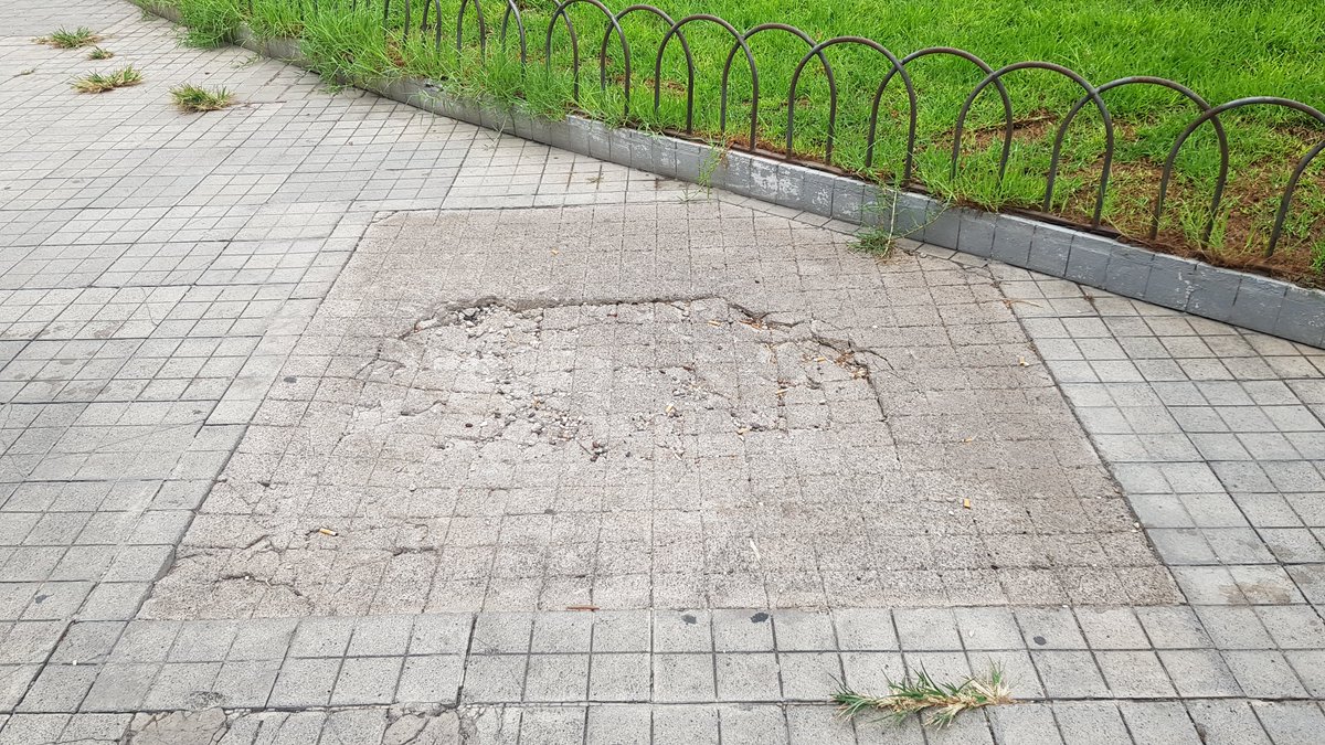 StopArboricidio's tweet photo. (3) En vez de reabrir los más de 30 alcorques tapados con cemento en la Plaza de la Feria, @lpaurbanismo prioriza SEGUIR TAPANDO ALCORQUES CON RESINAS SINTÉTICAS que asfixian las raíces y favorecen pudrición
@AyuntamientoLPA+#GrisMauri @MauricioRoq que ayer pero menos que mañana https://t.co/XV0cQTVJQ9