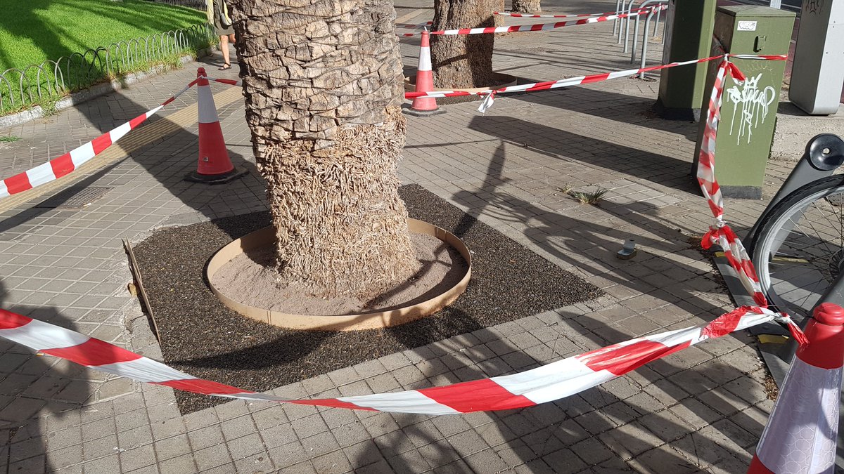 StopArboricidio's tweet photo. (3) En vez de reabrir los más de 30 alcorques tapados con cemento en la Plaza de la Feria, @lpaurbanismo prioriza SEGUIR TAPANDO ALCORQUES CON RESINAS SINTÉTICAS que asfixian las raíces y favorecen pudrición
@AyuntamientoLPA+#GrisMauri @MauricioRoq que ayer pero menos que mañana https://t.co/XV0cQTVJQ9