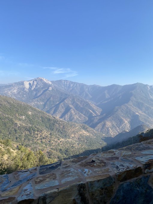 Went to a wedding among the sequoias 6000 ft in the sky and it was one of the most stunning, special
