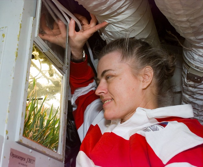 Former astronaut Shannon W. Lucid checks on wheat plants aboard Russia's Mir Space Station in September 1996.