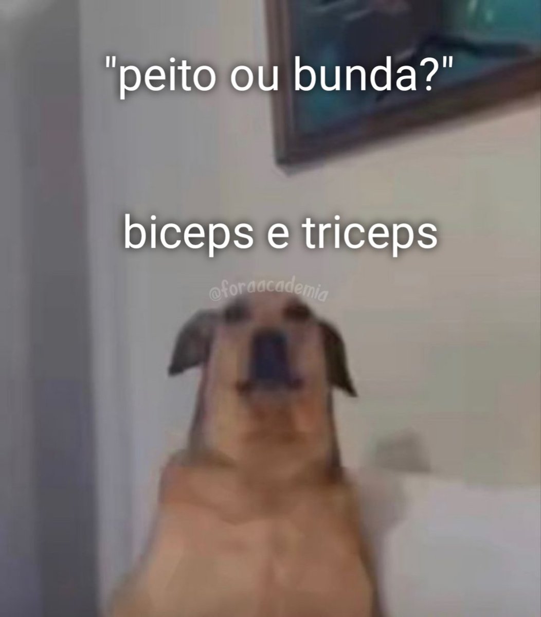 academia fora de contexto (@foraacademia) on Twitter photo 