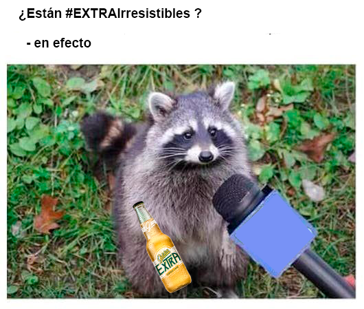 Confirmado por señor Mapache, #EXTRAIrresistibles 🫡
