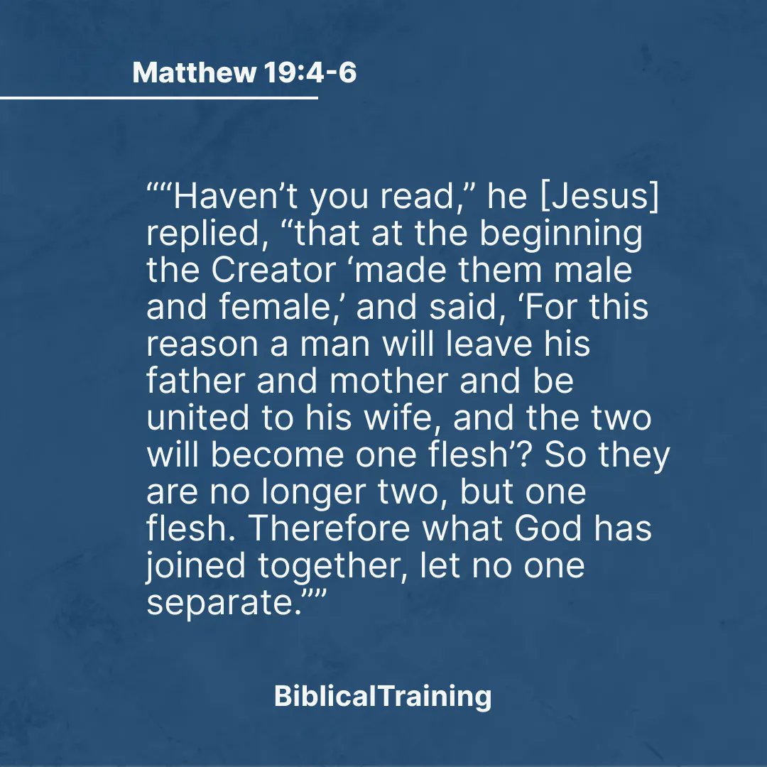 BiblicalT's tweet photo. Feel free to check out our lecture on Song of Songs, where Dr. Miles Van Pelt talks about marriage and the marriage covenant: https://t.co/O0haqI4UOV Feel free to share your thoughts below!

#BibleTraining #BiblicalFluency #Biblelessons #Bibleteachings #ScriptureStudy https://t.co/OdT1ORG6Jw