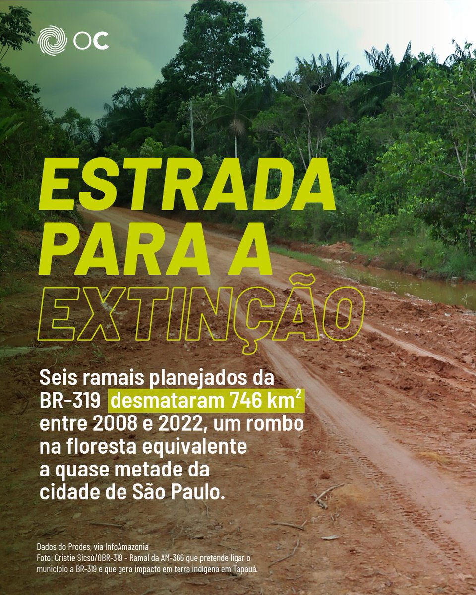 A pavimentação da #BR319Não leva a aberturas de ramificações igualmente (ou ainda mais) ameaçadoras para a floresta amazônica e para as populações que vivem nela +