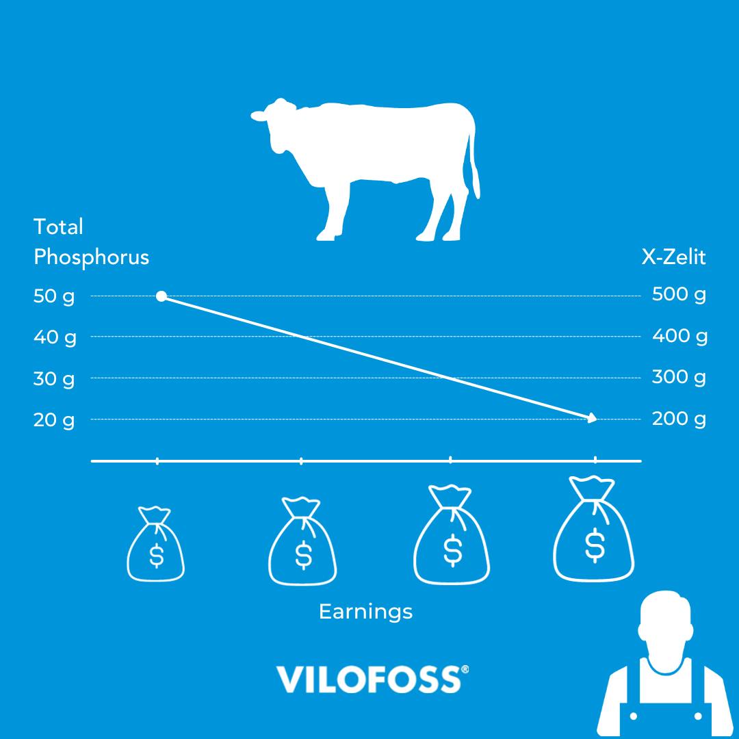 Did you know that a reduction of phosphorus in the feed ration can help reduce the risk of milk fever? And it even comes with savings for both the environment and for you.
Curious? Contact your consultant and get assistance with cost-saving calculations #XZelit