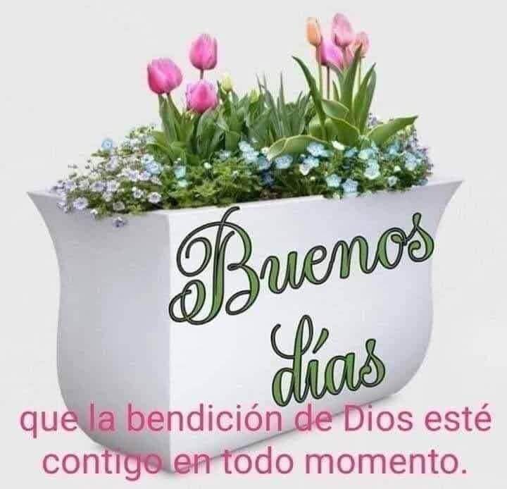 Beatriz rivera (@beatrizriveramz) on Twitter photo 